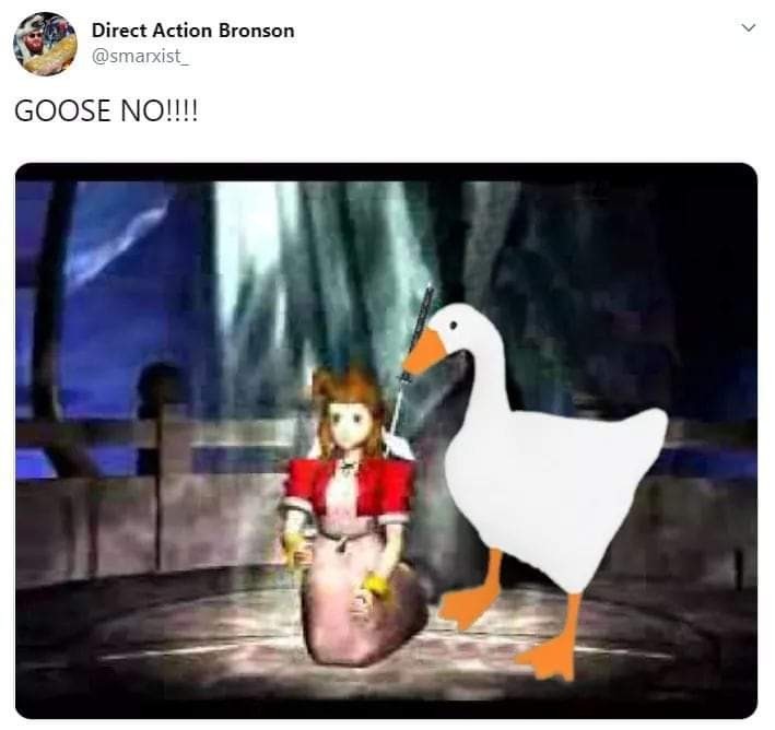 all goose goose duck roles