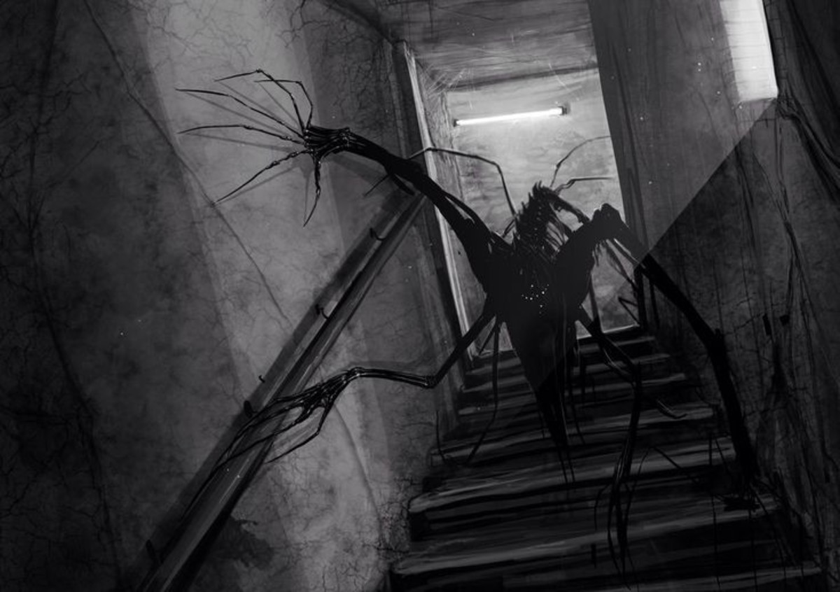 Nosferatu Spider