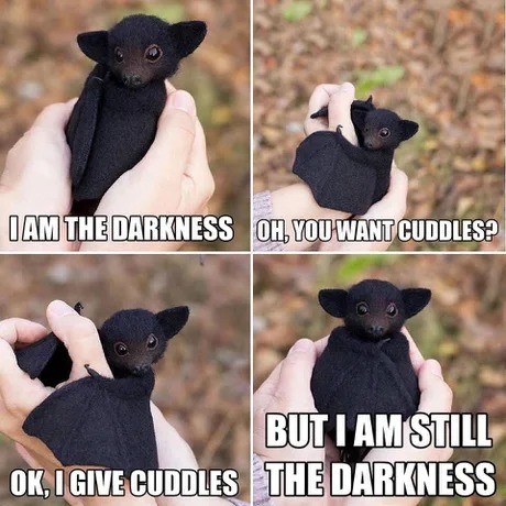 I Am The Darkness - 