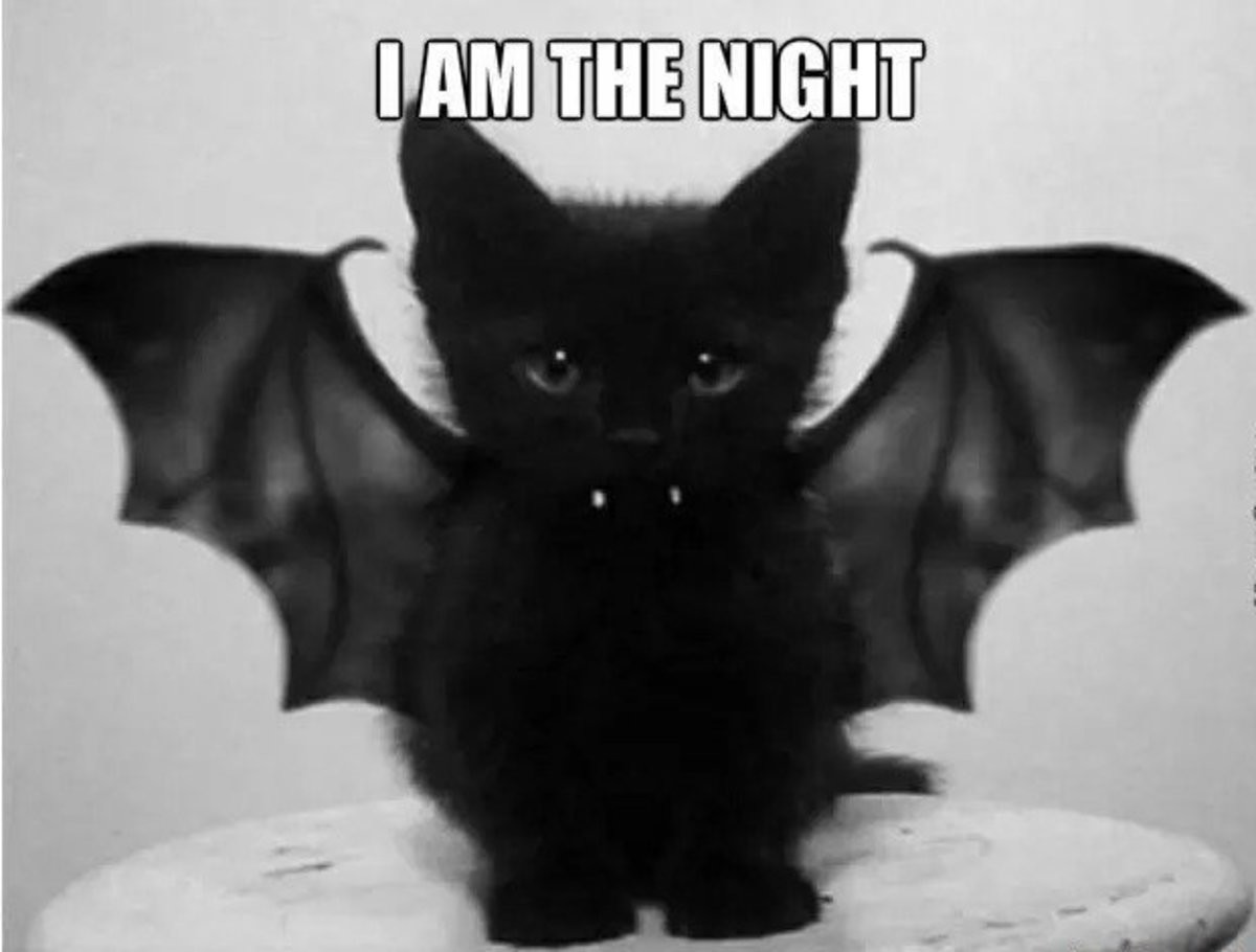I Was Born In The Darkness I Was Born In The Darkness