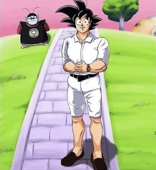 goku in normal clothes