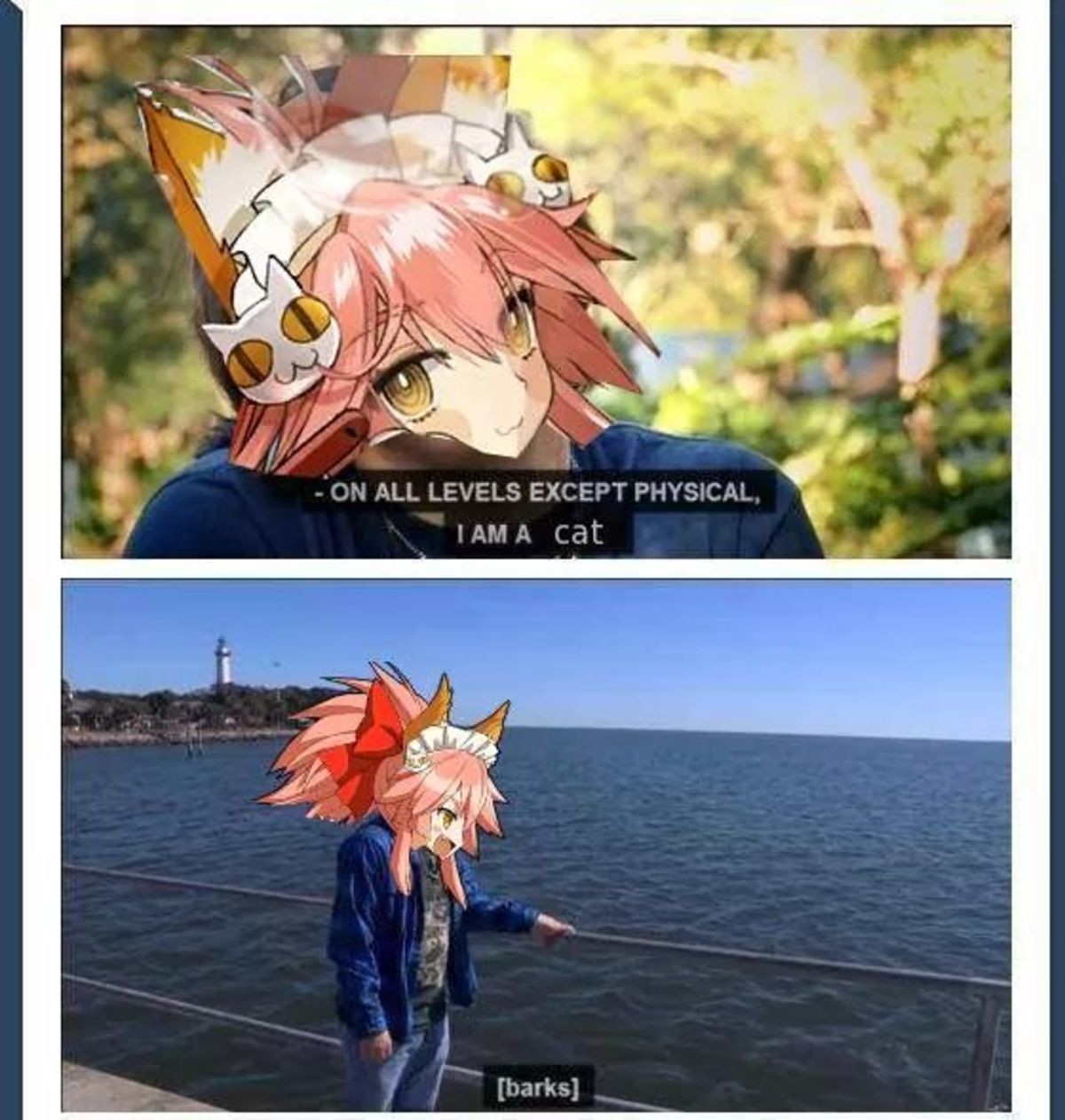 Inu Doka Neko Doka