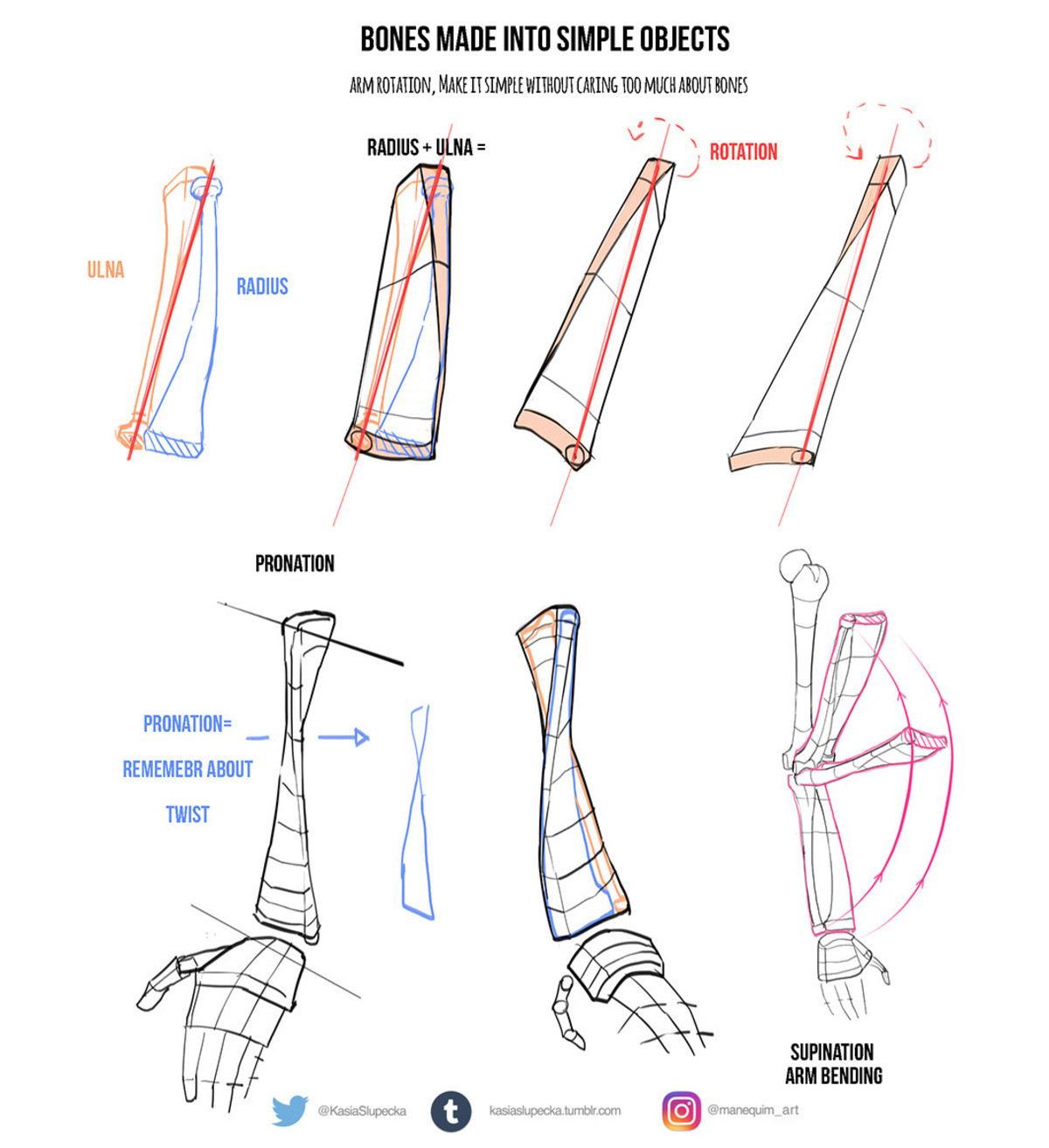 Making bones. Pronation Supination. Pronation Arm. Туториал по использованию велосипеда. Туториал по прокату велосипеда.