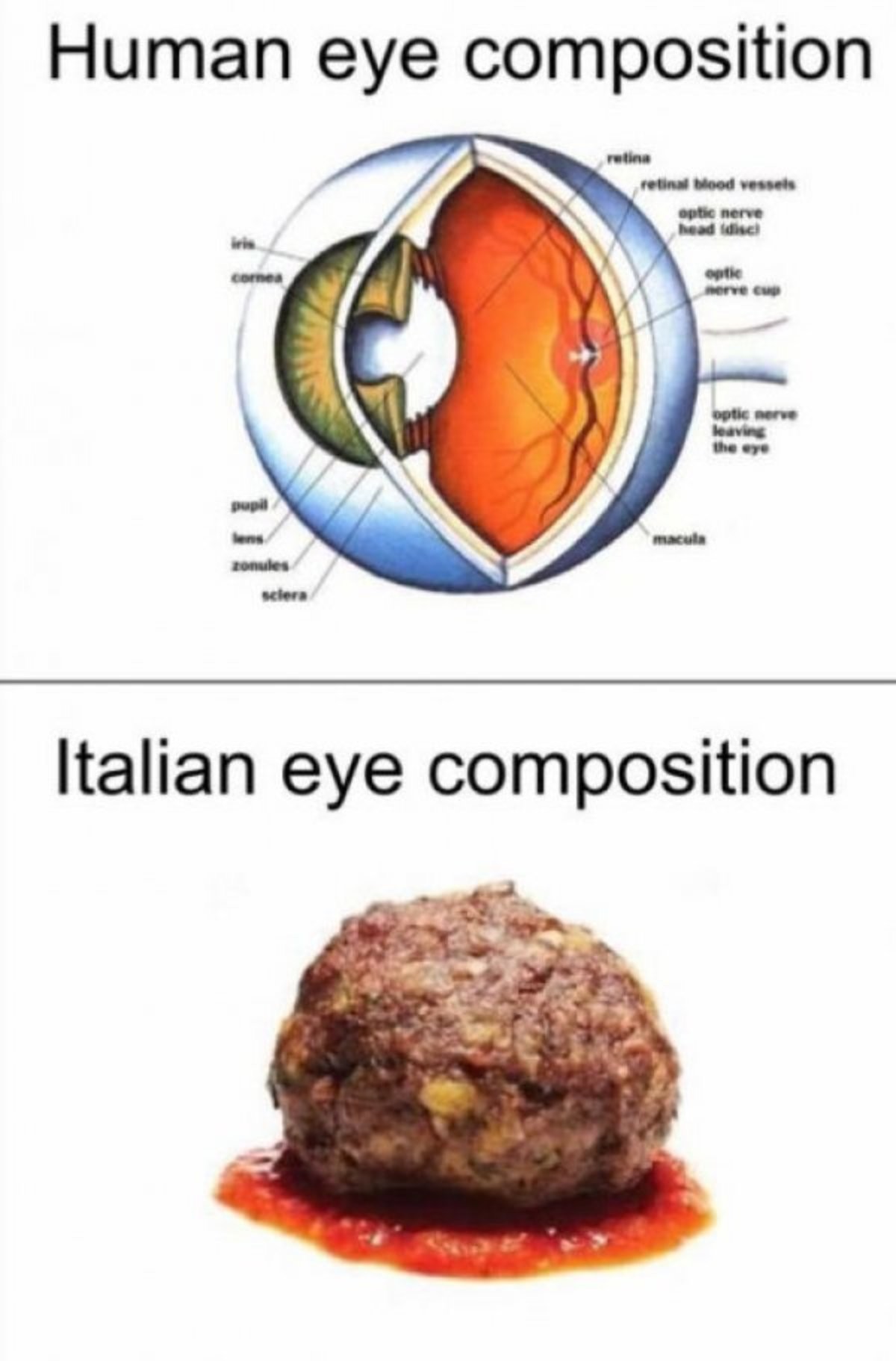 Italian Meme Comp