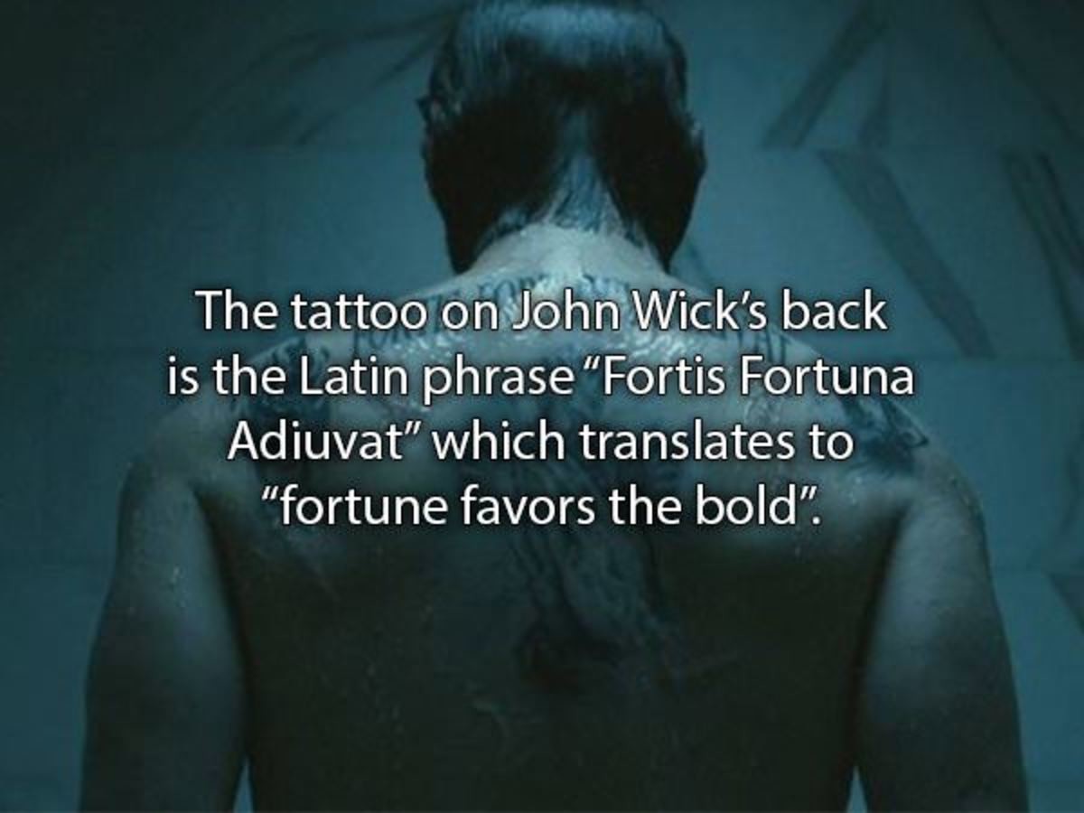 Заставка Джон уик Fortis Fortuna