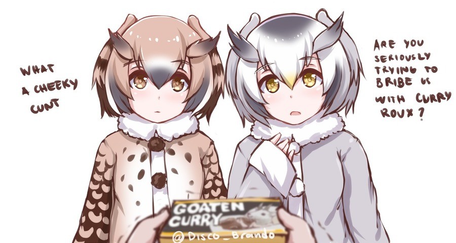 kemono friends owl comp kemono friends owl comp