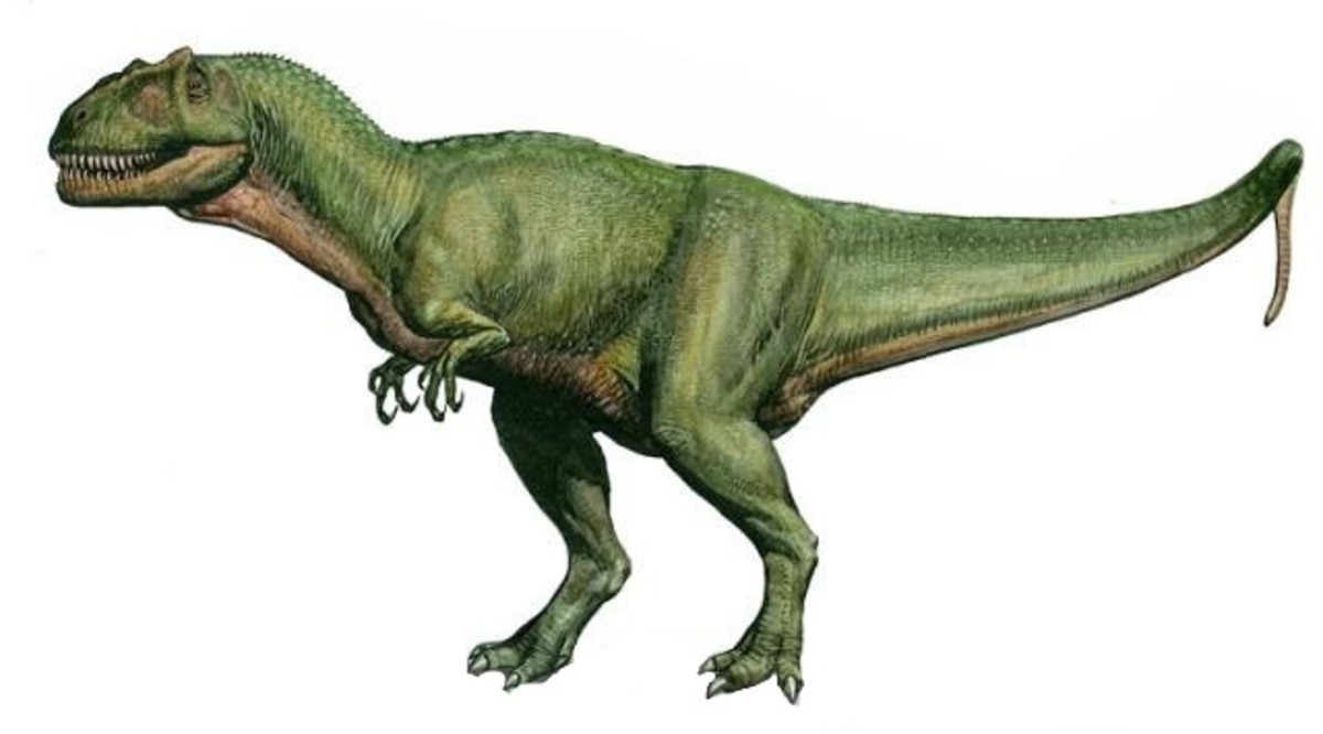 Заурофаганакс. Saurophaganax динозавр. Заурофаганакс и Аллозавр. Saurophaganax Maximus. Заурофаганакс Планета динозавров.