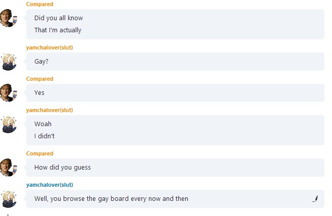 Skype gay now