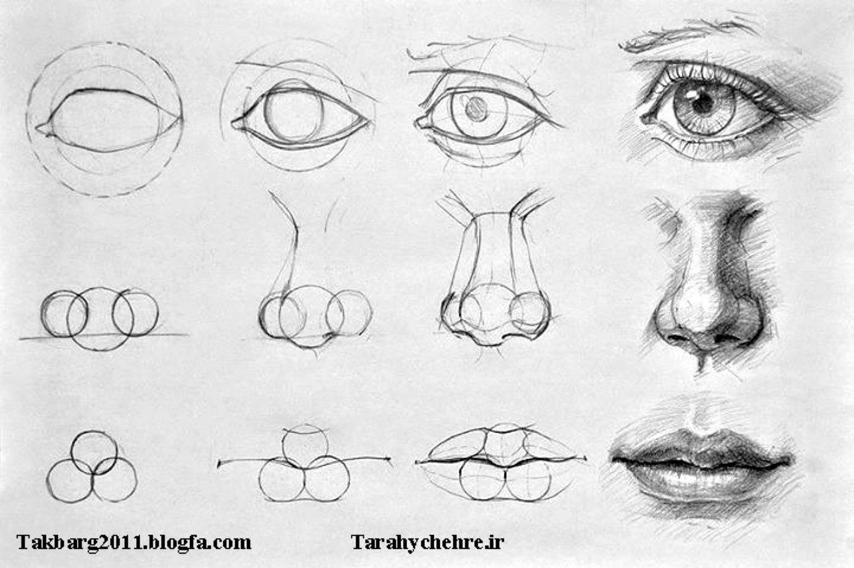 Lip Eyes Nose Sketch Technique