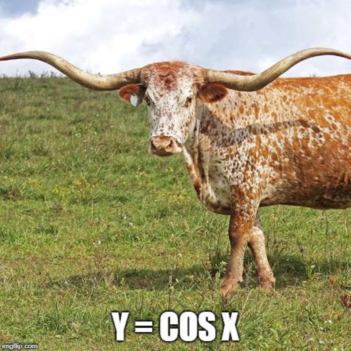 math-cow