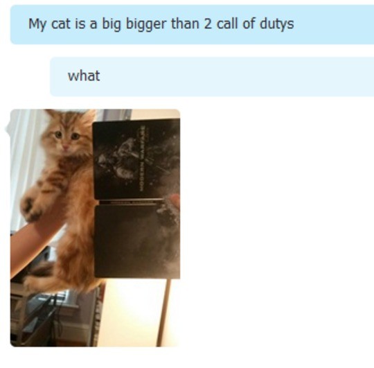 Мем bigger than. My Cat isbig. This Cat is bigger than Cat перевод. A Cat is bigger than.