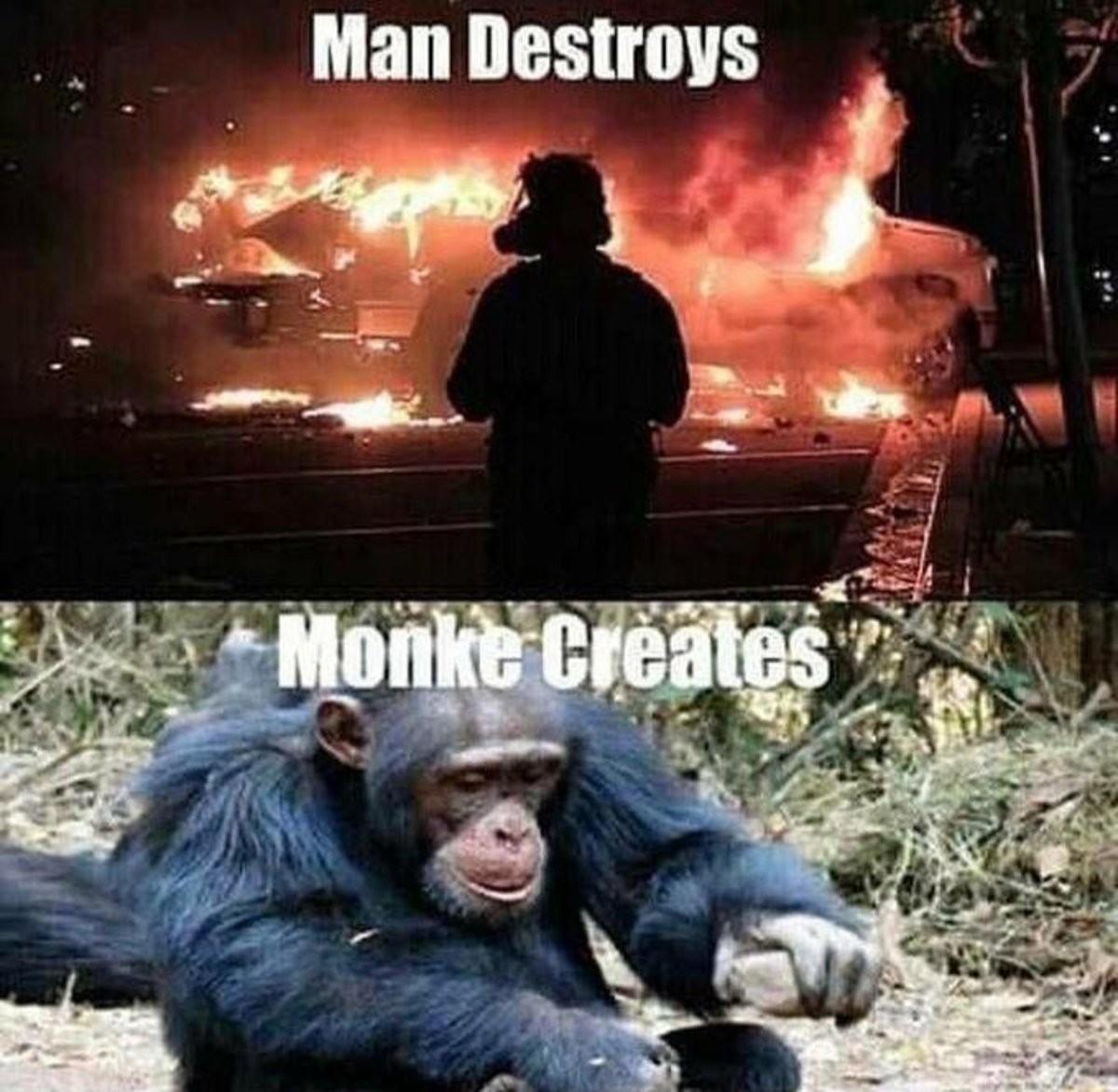 Чел обезьяна Мем