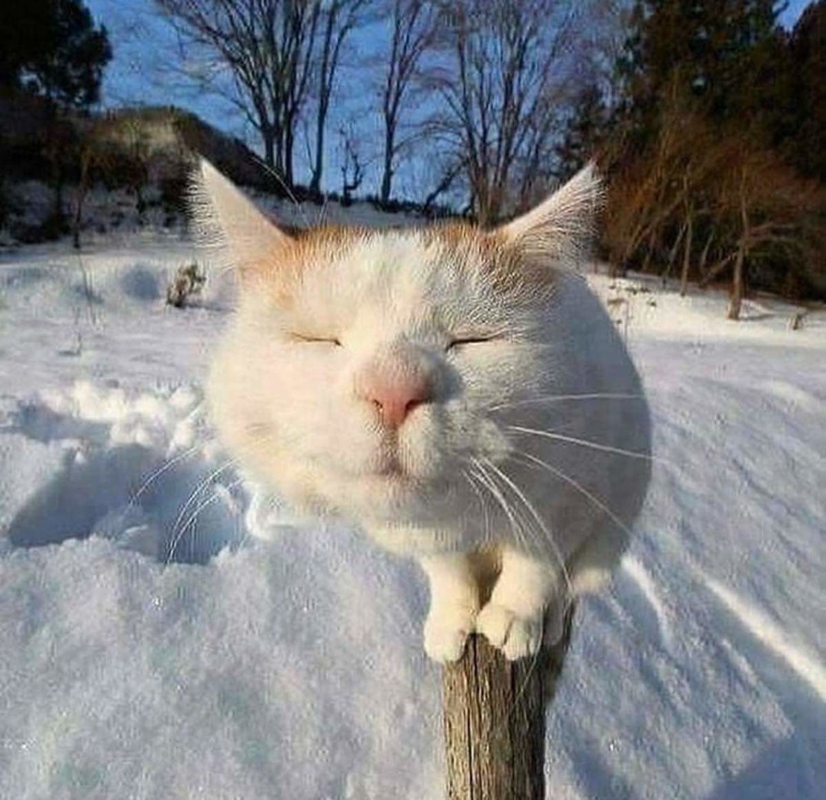 Близимся