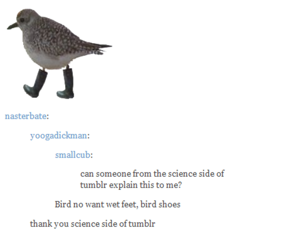 Explain this. Tumblr Posts. Side of Science.. Пост с тумблерами. Bird wants you in.