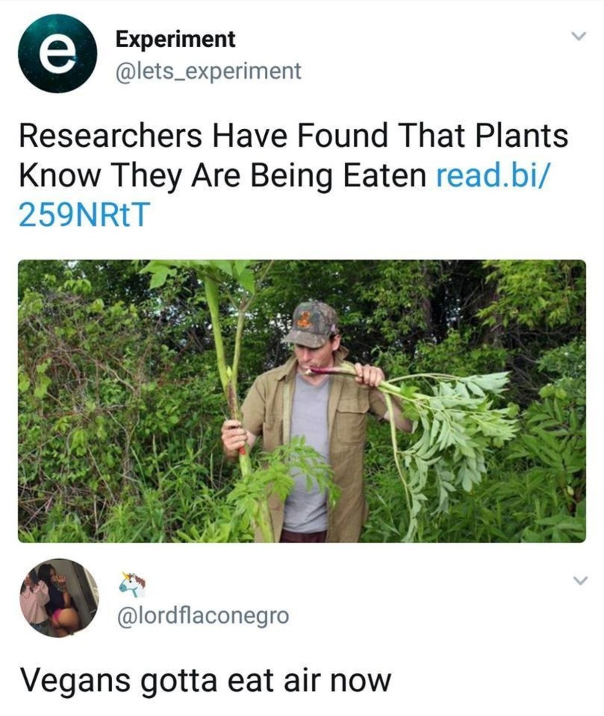 Knows that plants