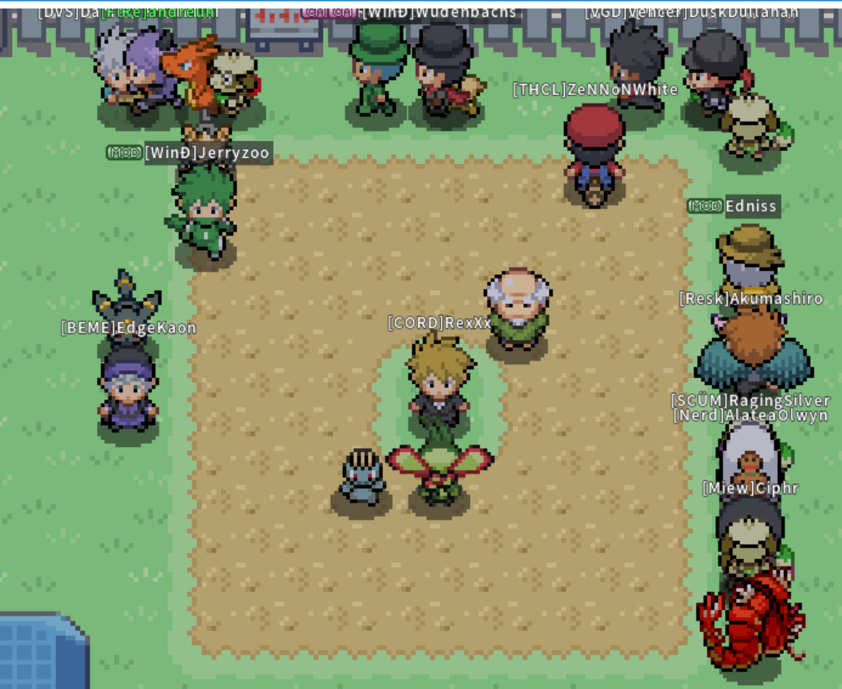 Install PokeMMO on Linux