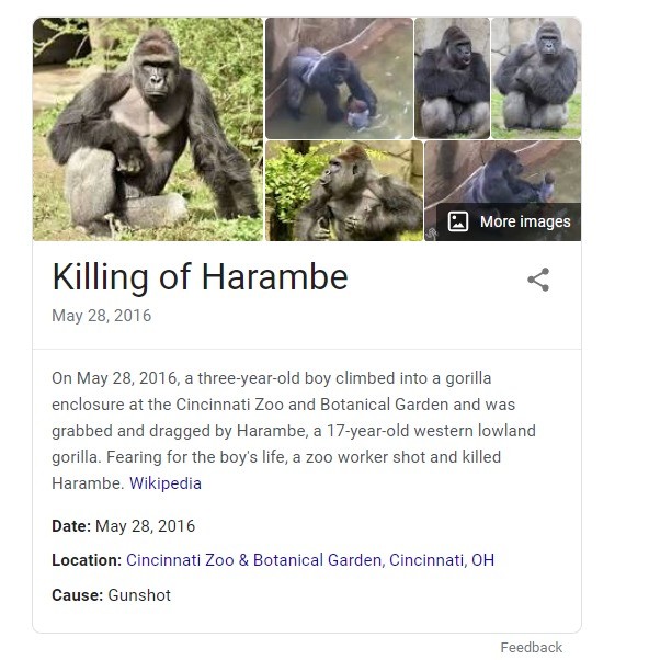 Press F to pay respects - Wikipedia