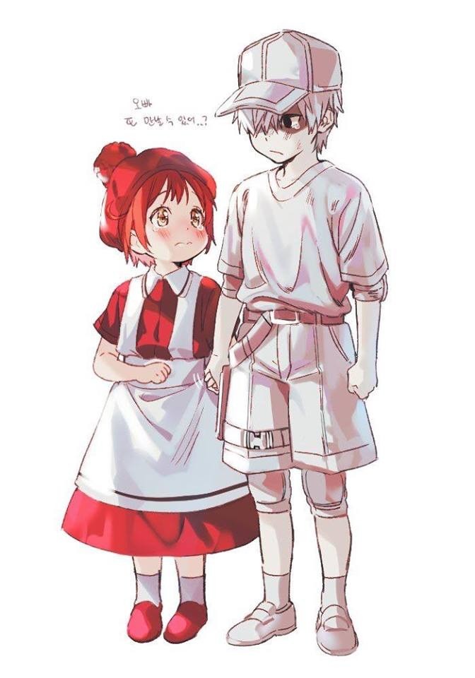 Red Blood Cell Chan And White Blood Cell Chan