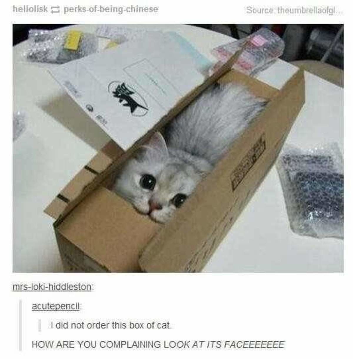 Pussy In A Box