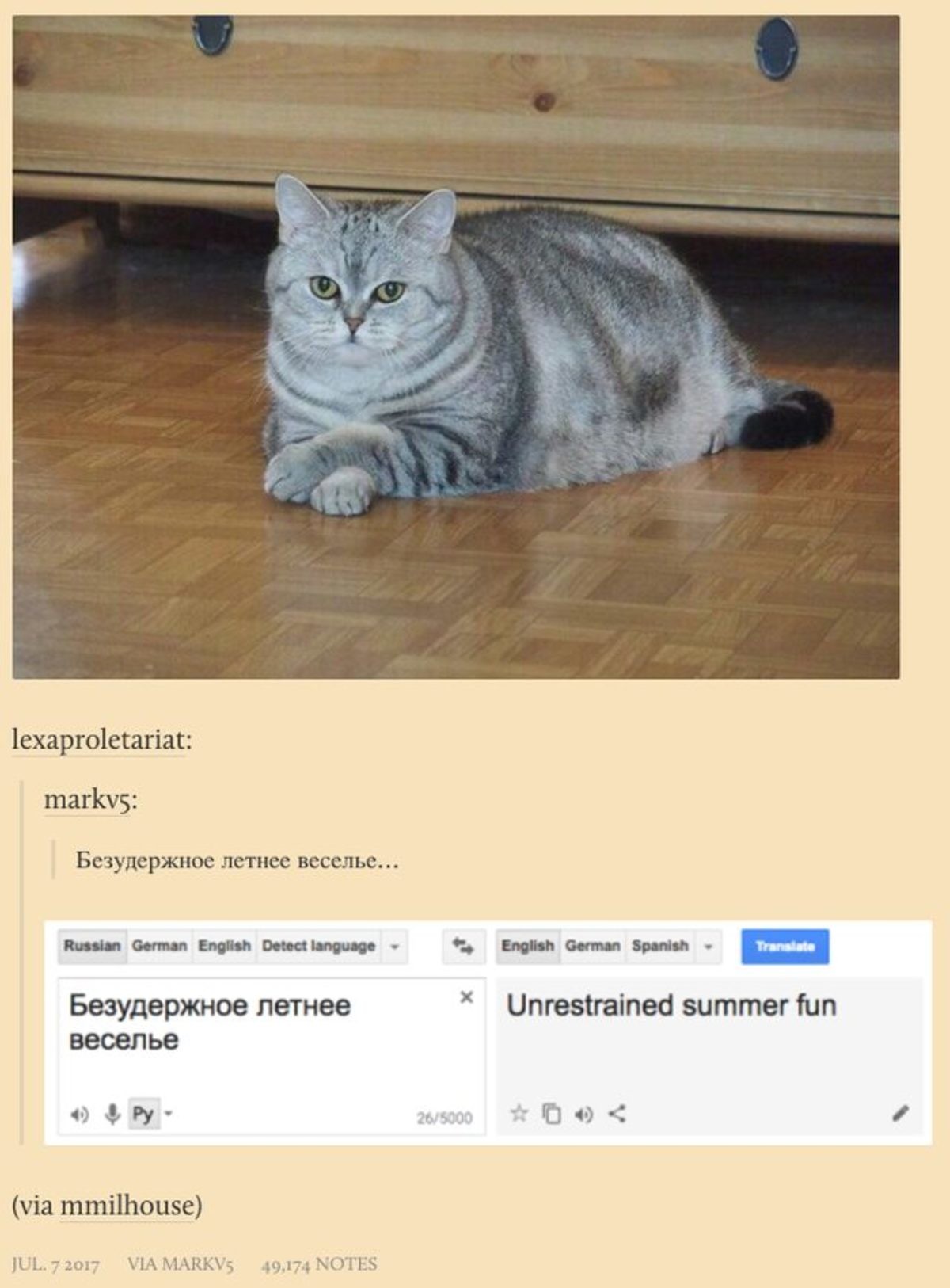 Переведи кошка. Безудержное летнее веселье. Russian Cat memes. Безудержное веселье вот. Безудержное веселье это как.