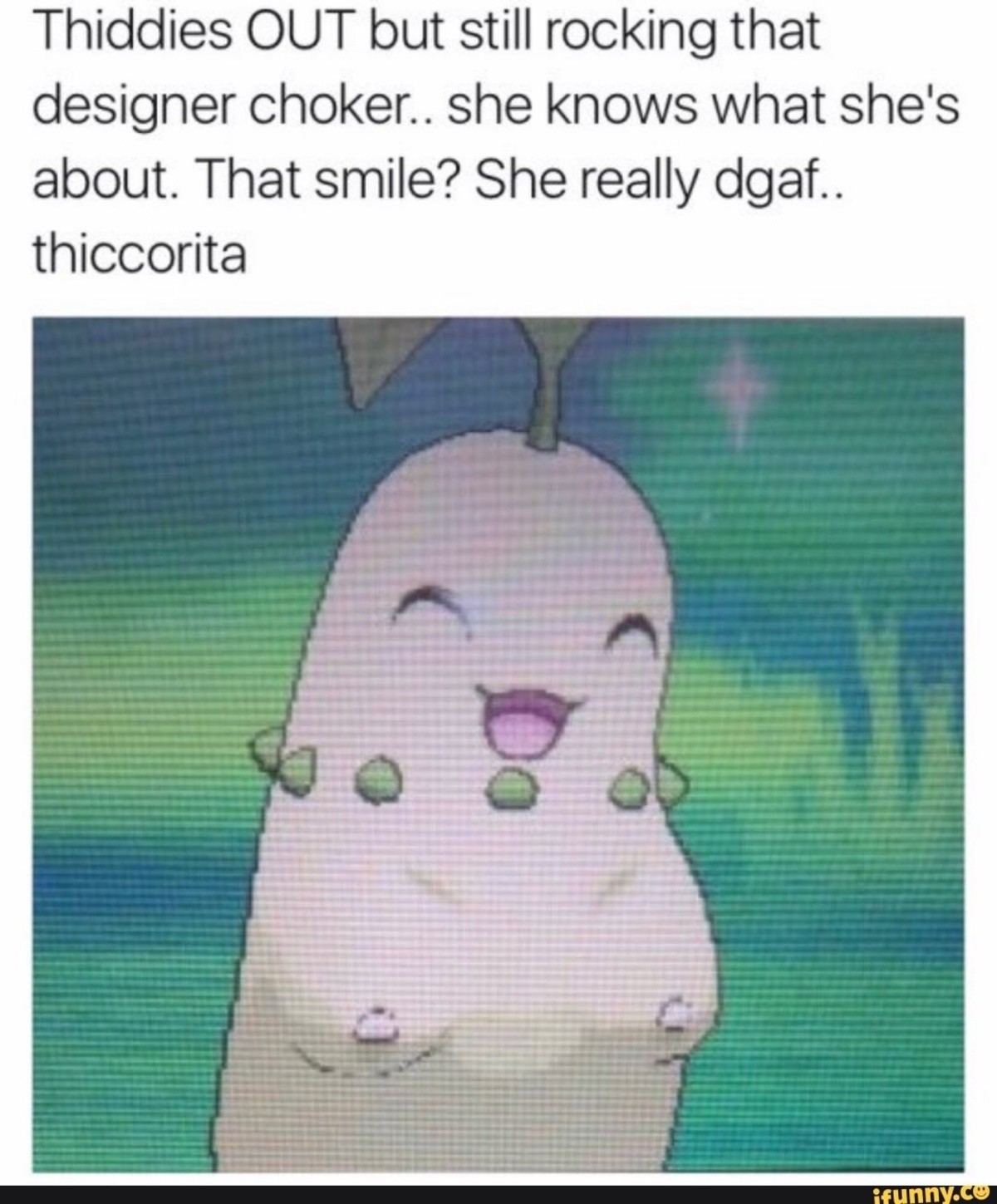 Thiccorita