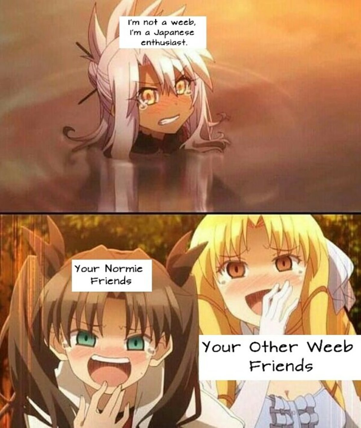 Shut Up Weeb