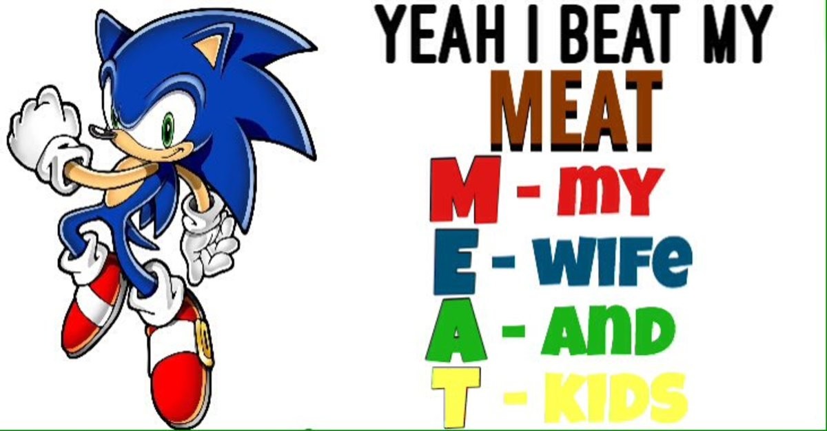 Sonic Says | Know Your Meme