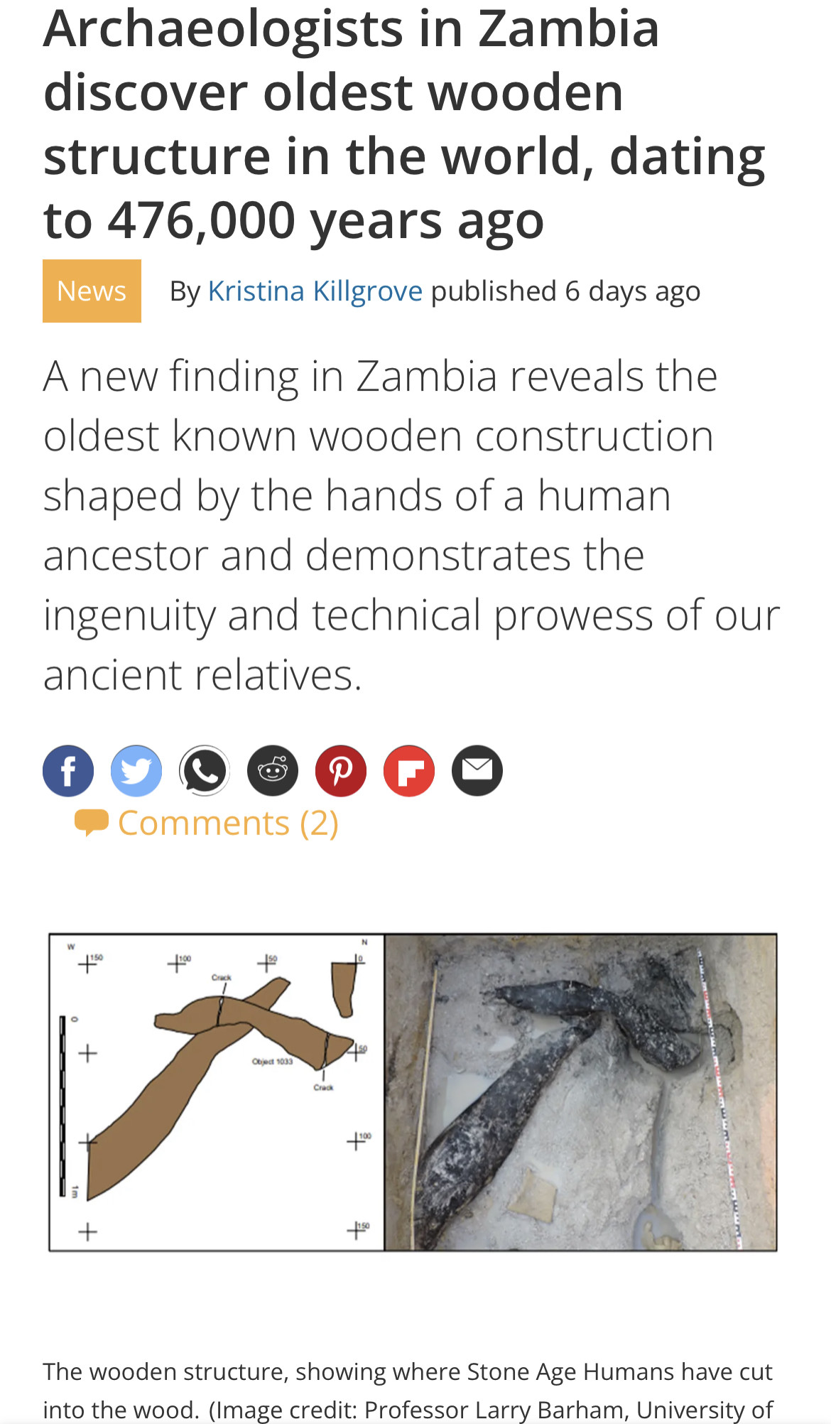 World's oldest known wooden structure found in Zambia