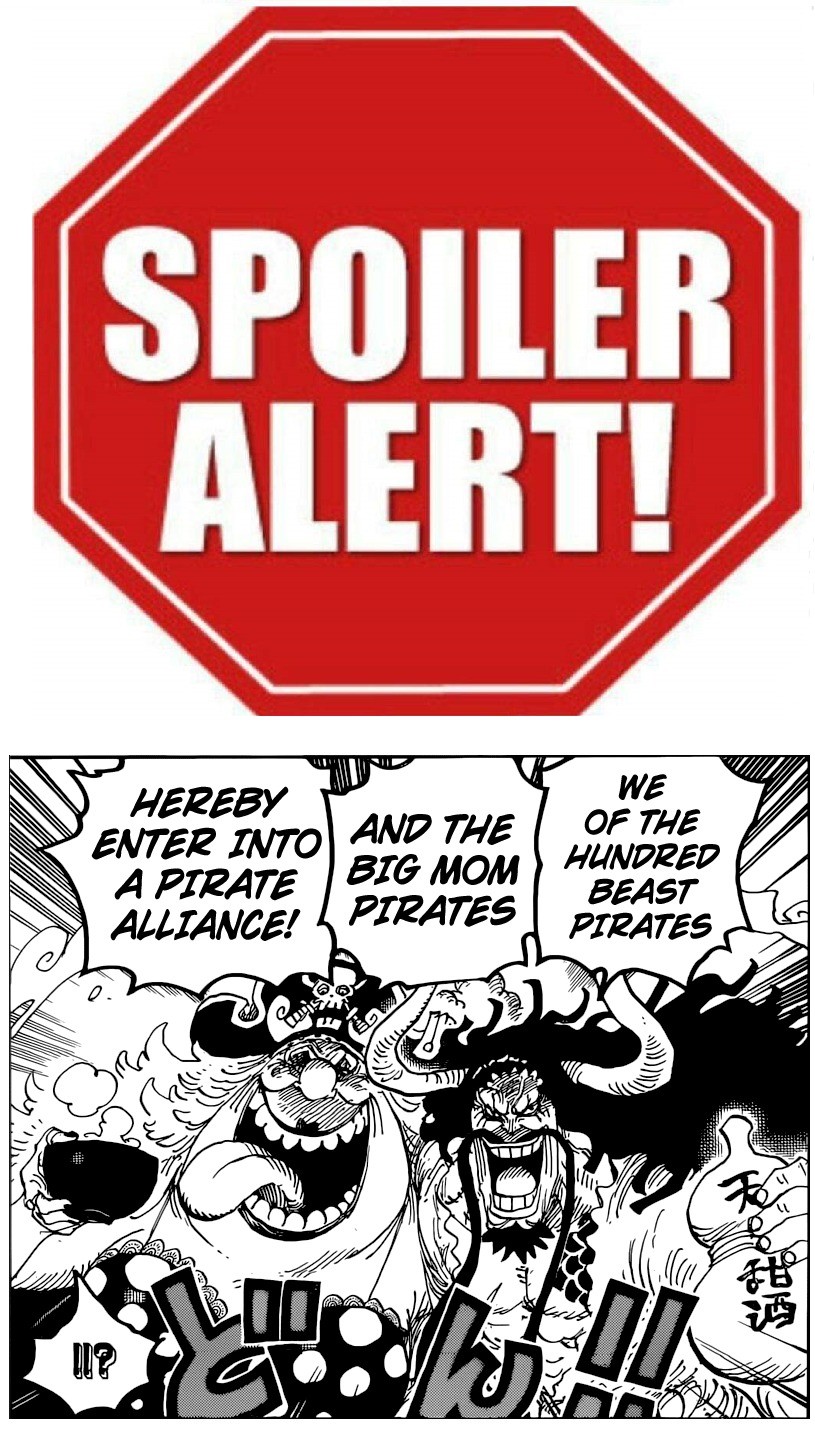 Spoiler One Piece 954