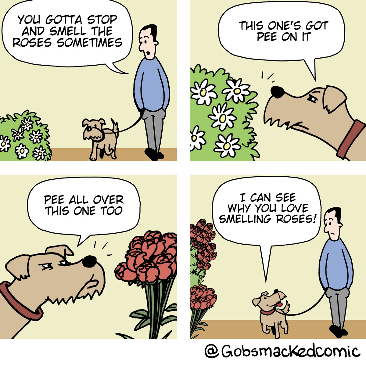 stop-and-smell-the-roses