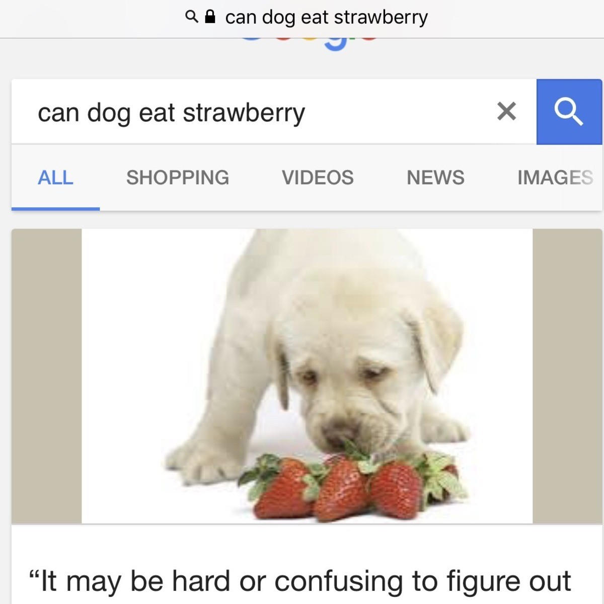 A dog can. Dog Strawberry. Закончи предложения Dogs eat. Скороговорка Dog eating. Dog doesn't eat Dog русский эквивалент.