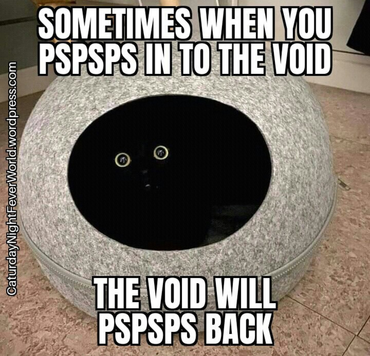 the void cat.