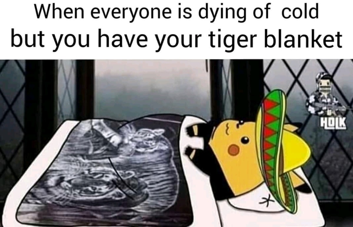 Pikachu Mexican Blanket Meme Rehare 5018