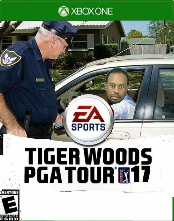 Tiger woods memes. 