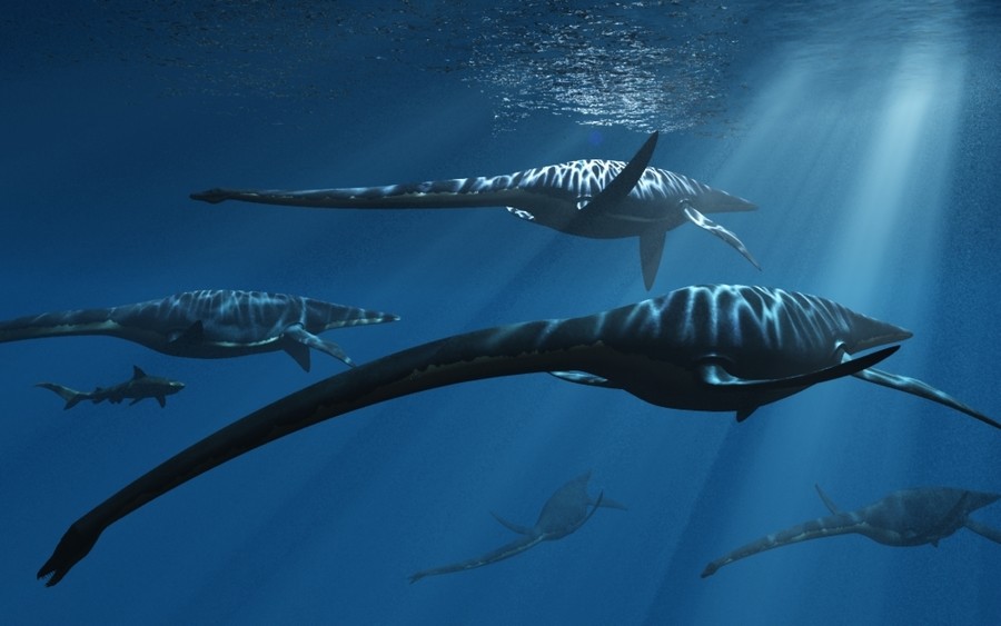 plesiosaur sea dinosaurs