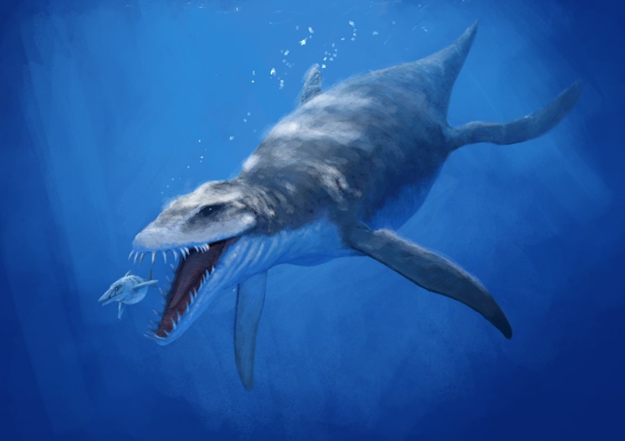 jurassic marine reptiles