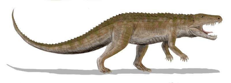 Image result for Archosaurs