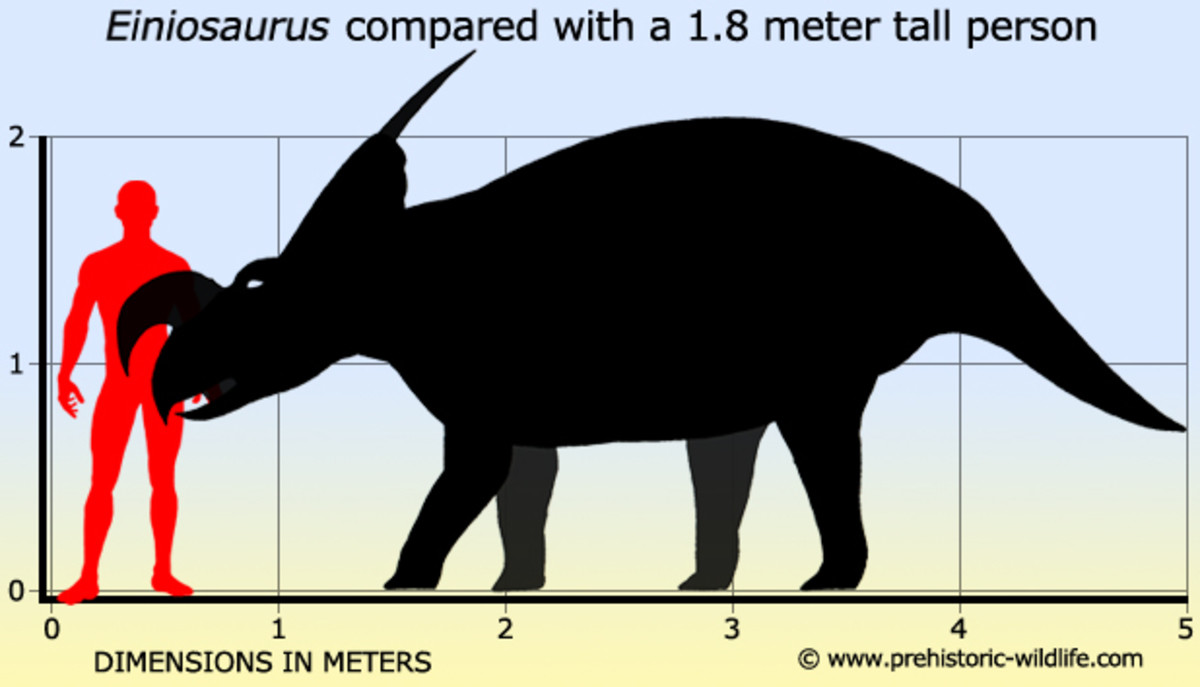 ceratopsian dinosaurs list