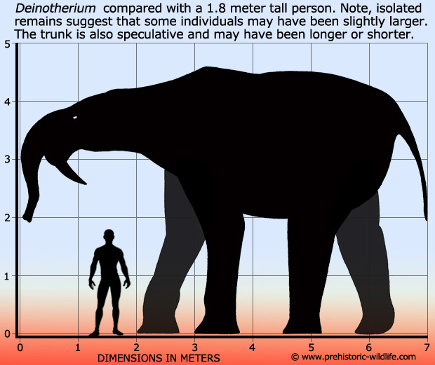 top 10 prehistoric elephant