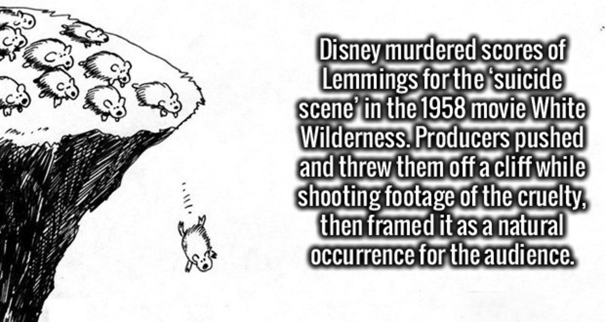 Videos: Lemming Suicide, the No. 1 Nature Hoax