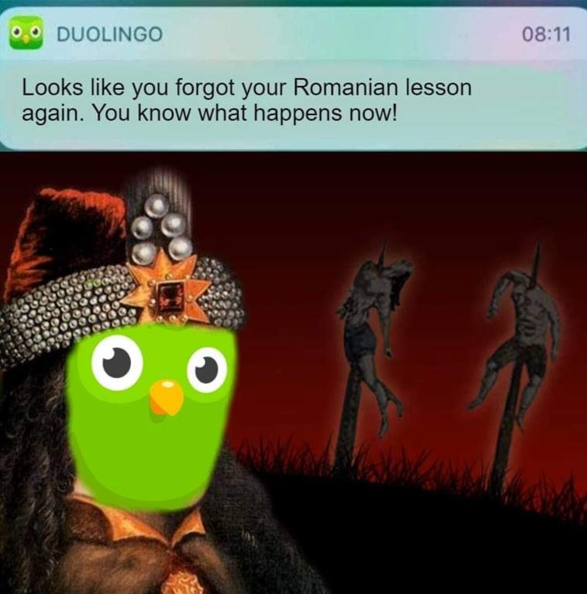 Сова Duolingo