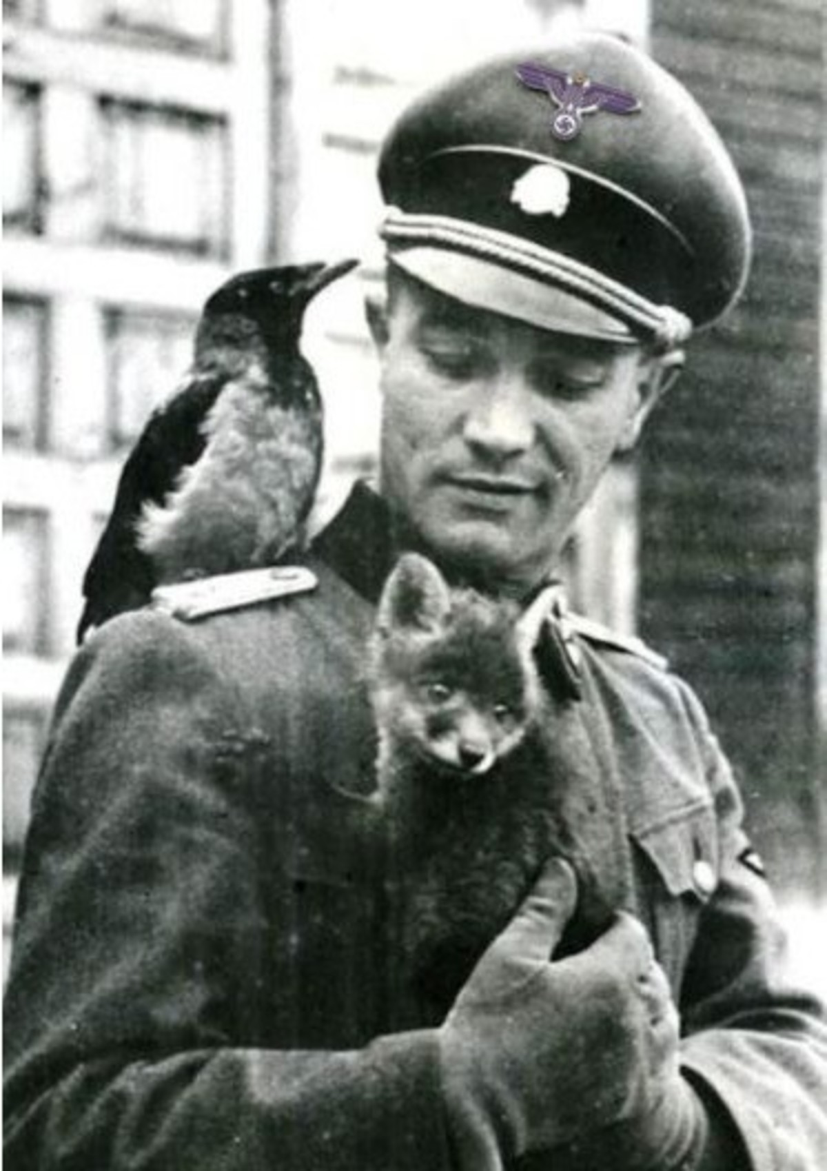 Будьте добры немецкий. Отто Вехтер эсэсовец. Хельмут Тилике. Солдат вермахта с котенком.