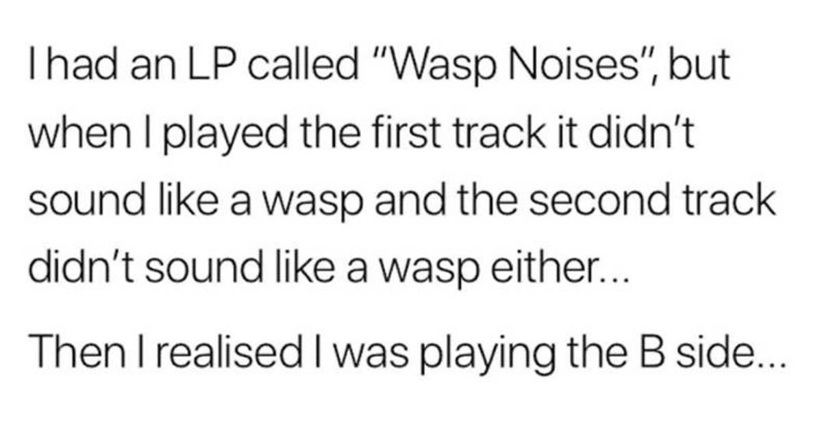 Wasp