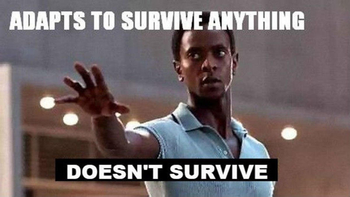 I'll Survive прикол. Quicksilver x men meme. Adapt to Survive. Magic man meme. Die next summer no joke