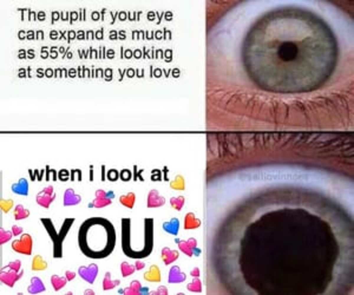 Look my eyes на русском. Wholesome memes. Wholesome memes Love. Wholesome meme.