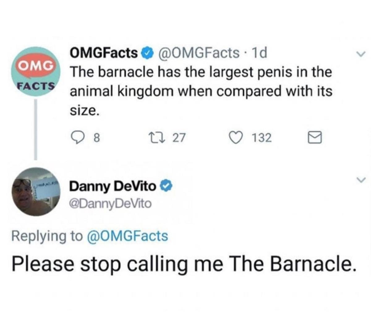 Size danny d Top 20