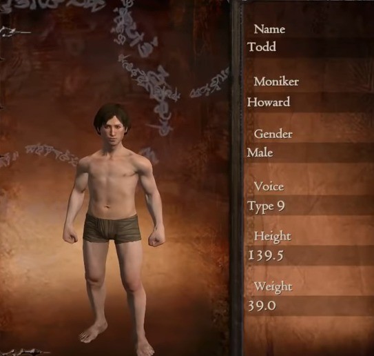 Dragons Dogma Dragons Dogma Dragon S Dogma