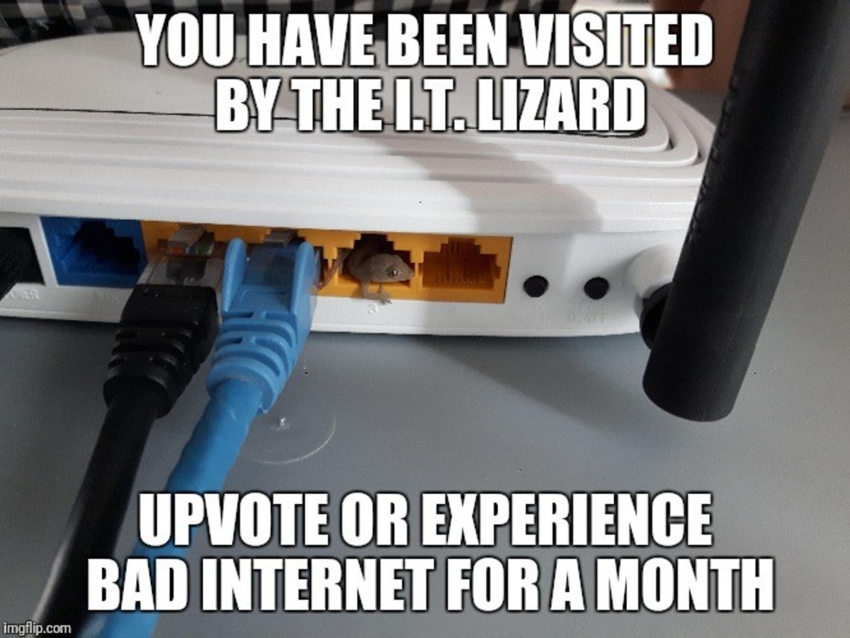 Bad internet. Internet is Bad. Lizard модератор. Bad Internet memes.