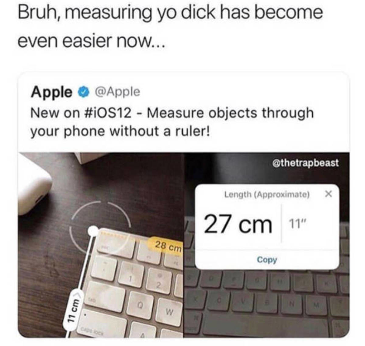 Dick measuring meme