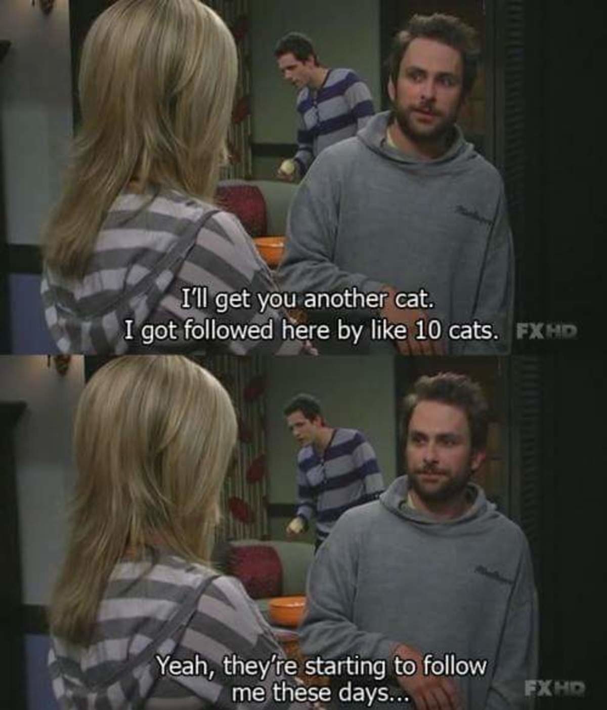 Always sunny cat lady